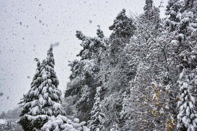 Let it snow Let it snow