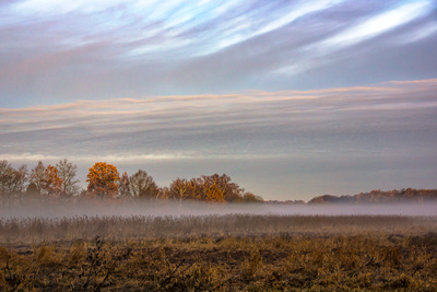 Novembermorgen (1) Novembermorgen (1)