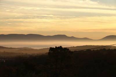 Nebel am Morgen