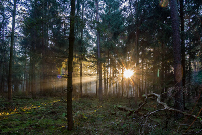Lichtstrahlen Lichtstrahlen