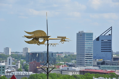 goldene Wetterfahne / Wetterhahn in Tallinn Estland