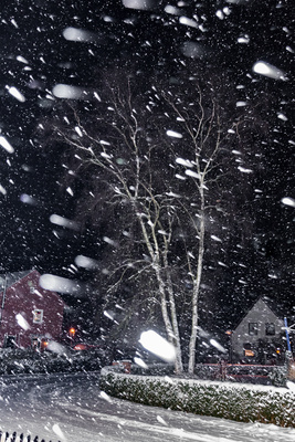 Schneesturm Schneesturm