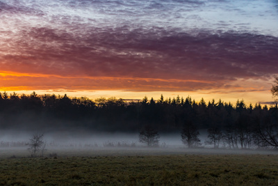 Morgennebel Morgennebel