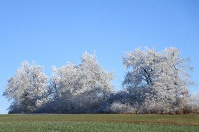 Blau-Weiss-Grün Blau-Weiss-Grün