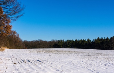 Übers schneebedeckte Feld