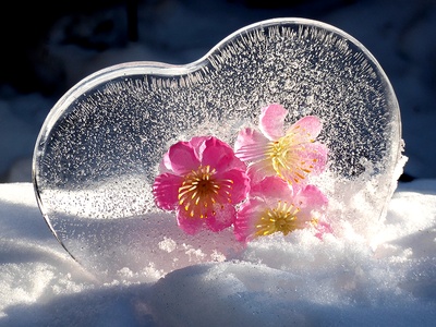 Herz aus Eis mit Blumen