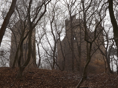 Alte Burg im Wald