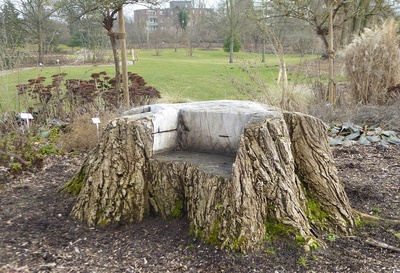 Sitzplatz im Botanischen Garten