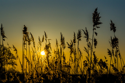 Vor der Sonne Vor der Sonne