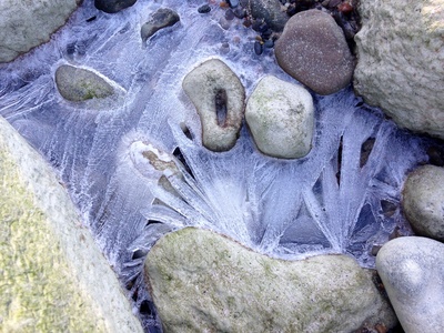 Eisblumen am Strand