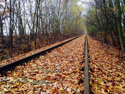 Goldenes Herbstlaub auf stillgelegtem Bahngleis
