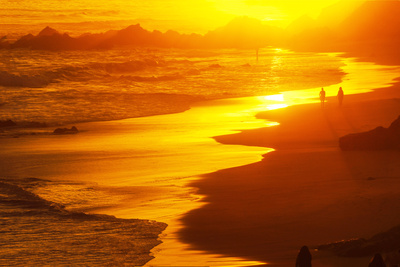 Strandläufer im Sundown