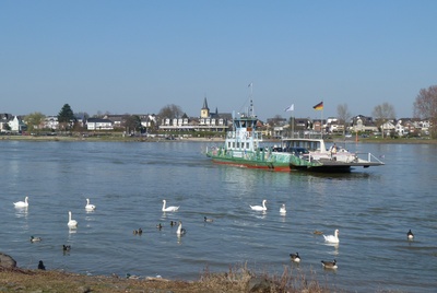 Rheinfähre bei Mondorf