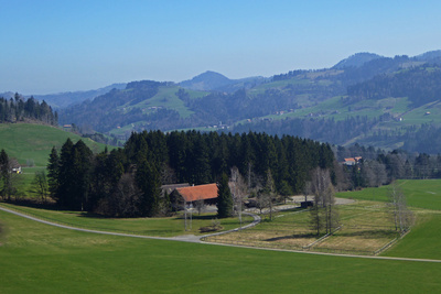 Zürcher Oberland (Tösstal)