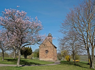 Mandelbaum vor der kleinen Kapelle