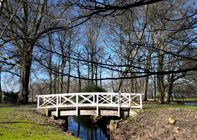 Die Brücke im Park