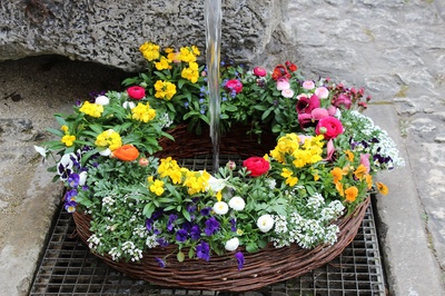 Brunnen mit Blumen