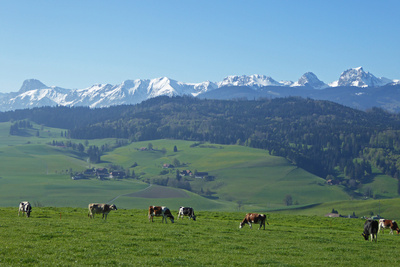 Berner Alpen auf dem Panoramaweg
