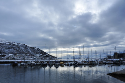 Hafen Tromsö Norwegen
