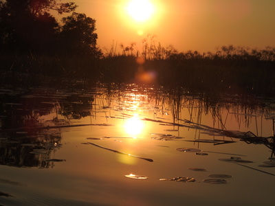 Sonnenuntergang im Okavangodelta