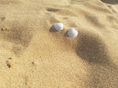 Zwei im Sand