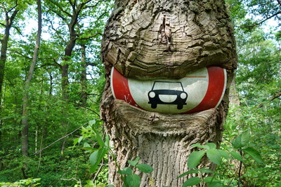 Die Natur holt sich´s zurück. Die Natur holt sich´s zurück.