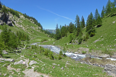 Alpine Natur pur