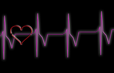 Herzschlag, Herzschlagfrequenz