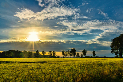 Abend über dem Feld (1) Abend über dem Feld (1)