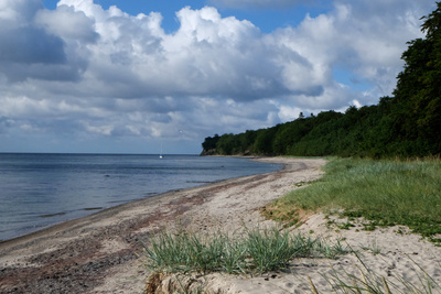 Entlang der Ostküste von Falster