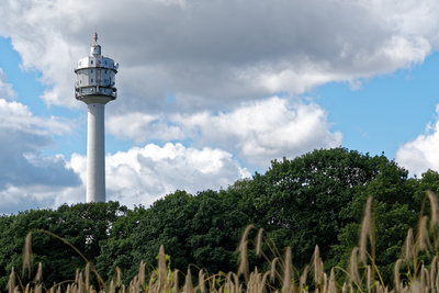 Funkturm im Grünen