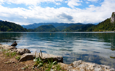 Bleder See - Lake Bled