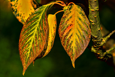 Es wird bunt Es wird bunt