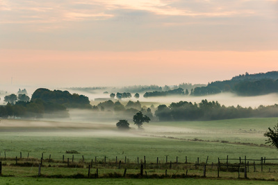 Nebeliger Morgen Nebeliger Morgen
