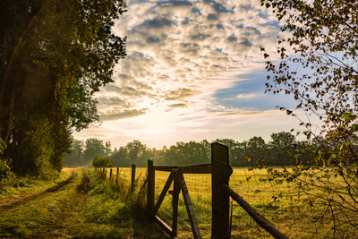 Herbstmorgen Herbstmorgen