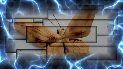 Electric butterfly