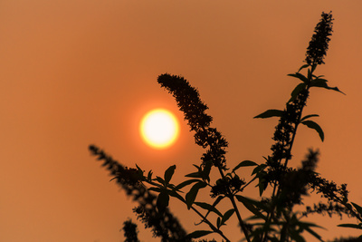 Die rote Sonne Die rote Sonne