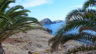 Punta do Buraco Madeira