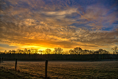 Goldener Morgen Goldener Morgen