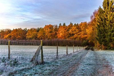 Kalter Herbst Kalter Herbst