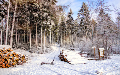 Erster Schnee vor Weihanchten