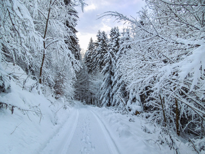 Spuren im Schnee Spuren im Schnee
