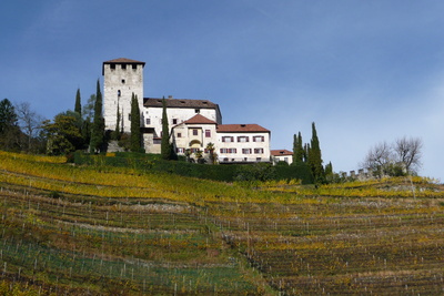 Weingut in Südtirol