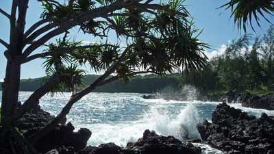 Lavaküste auf Maui