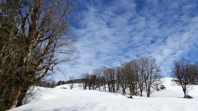 Winterwanderung im Glarnerland