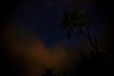 Nachthimmel mit Baum und Wolken