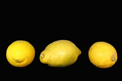 Zitronen 14