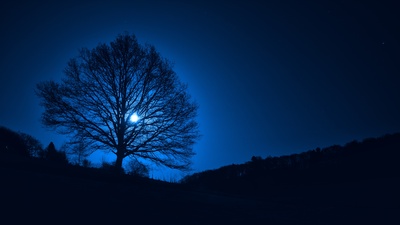 Mond Baum