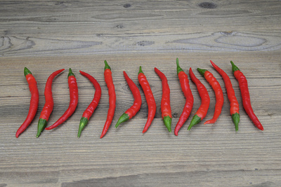 Paprika, Chili, Peperoni &ndash; fein s&auml;uberlich aufgereiht