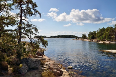 Im Naturreservat Stendörren in Schweden